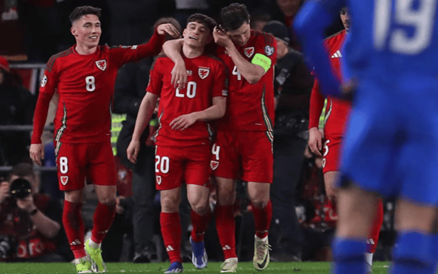 波兰队在欧洲杯预选赛中拼尽全力取胜 波兰队在欧洲杯预选赛中拼尽全力取胜