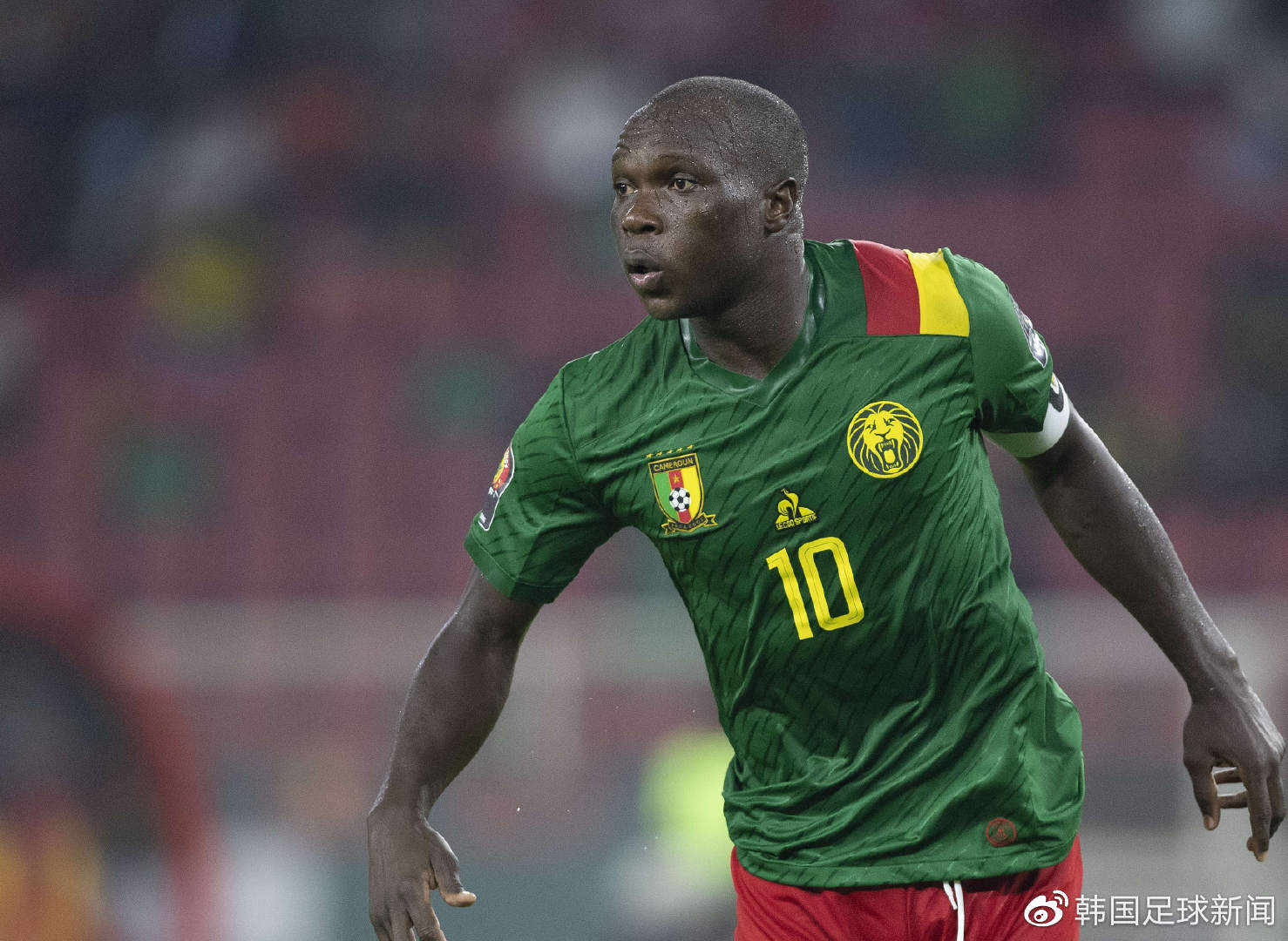 关于非洲篮球职业联赛冠军争夺激烈，球员技术精湛的信息