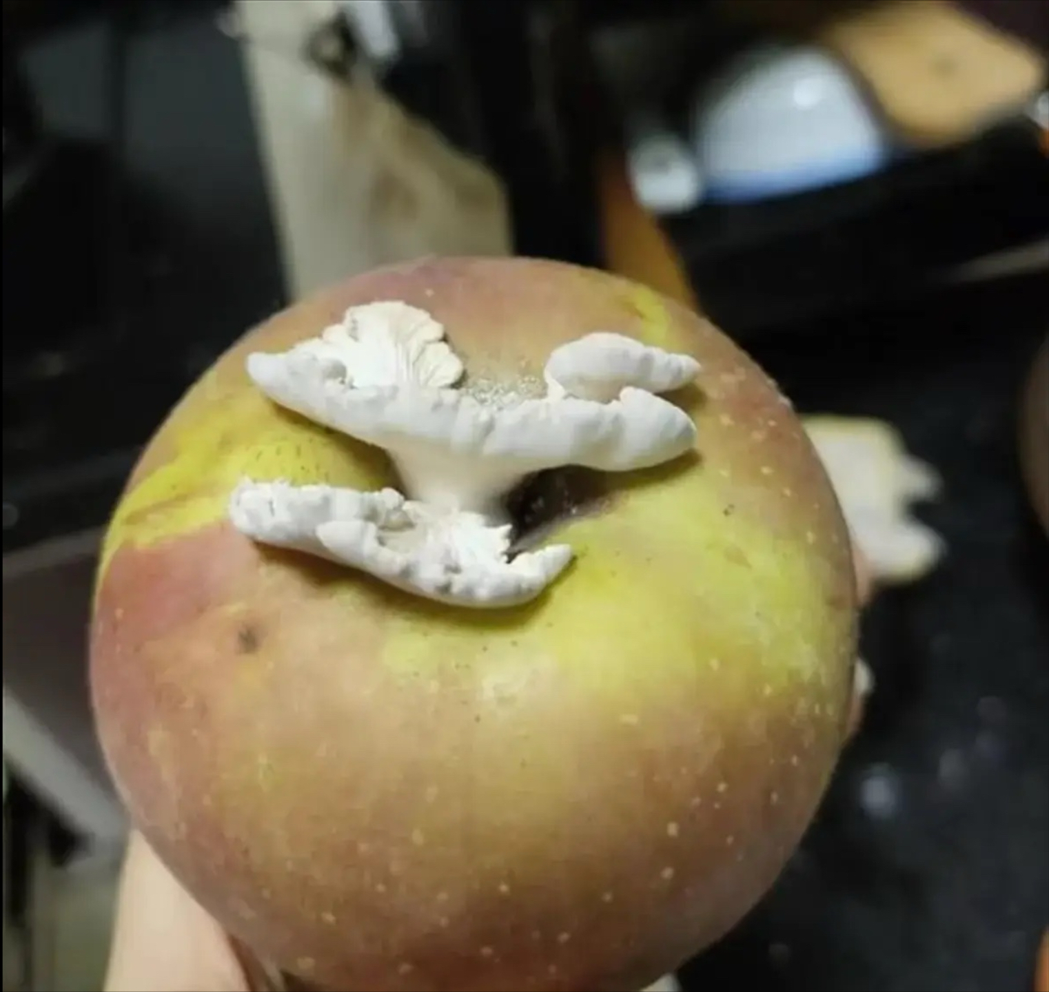 九游娱乐官方网站-关于球场奇观频现，意外发生引发轰动的信息