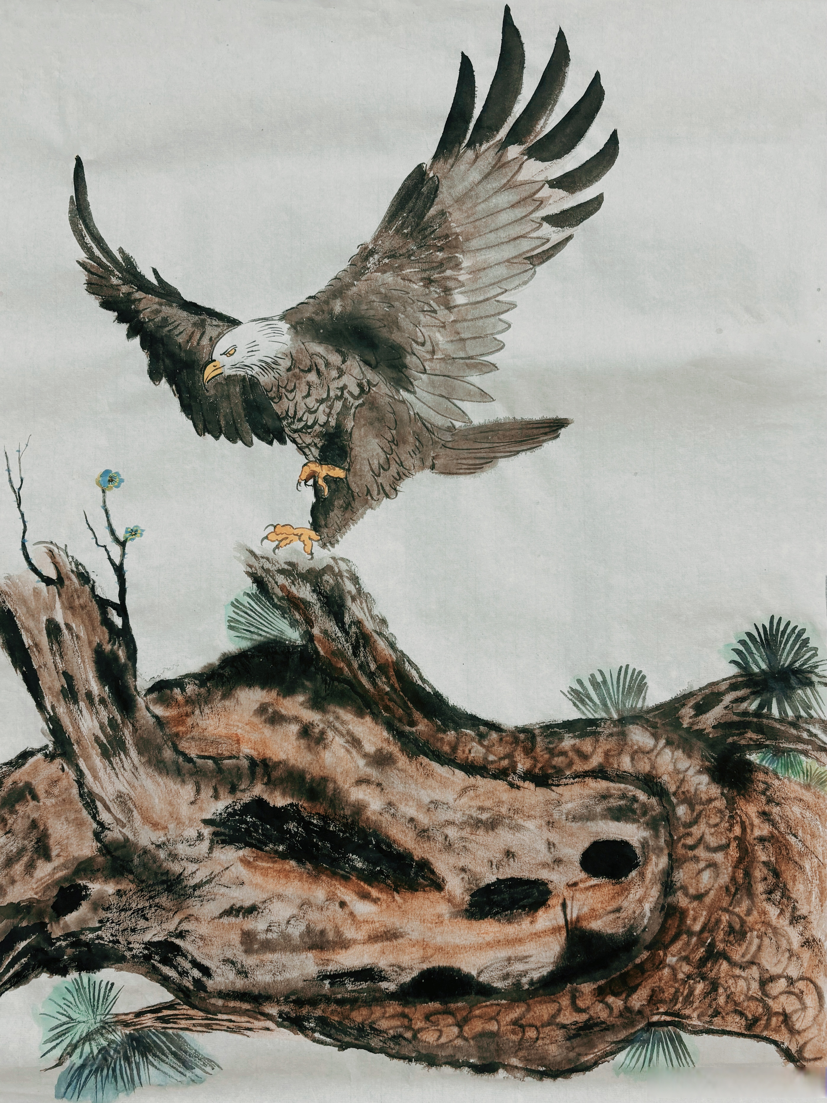 九游体育-猛龙击败老鹰，继续保持不败的简单介绍