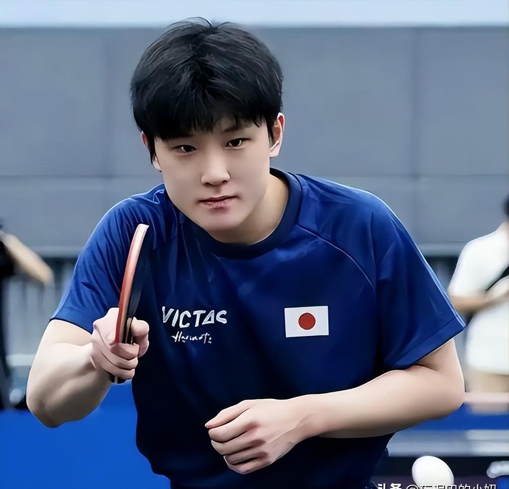 瑞典队横扫德国队,张本智和关键制胜 瑞典队横扫德国队,张本智和关键制胜