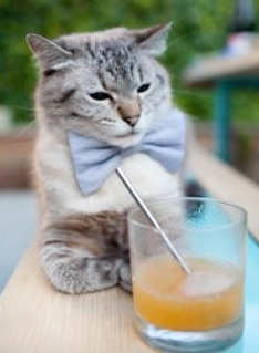 魔鬼主场，绿军陷落，凯尔特人如何从金州偷走胜利